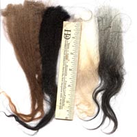 Four of the many colors of Icelandic fleece. Image of Icelandic sheep fleece locks