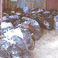 The fleece is carefully pushed into a plastic garbage bag along with an index card with the flock number of that sheep included. Image of bagged fleece